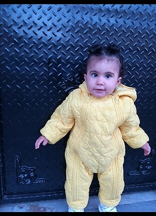 Bebek mont