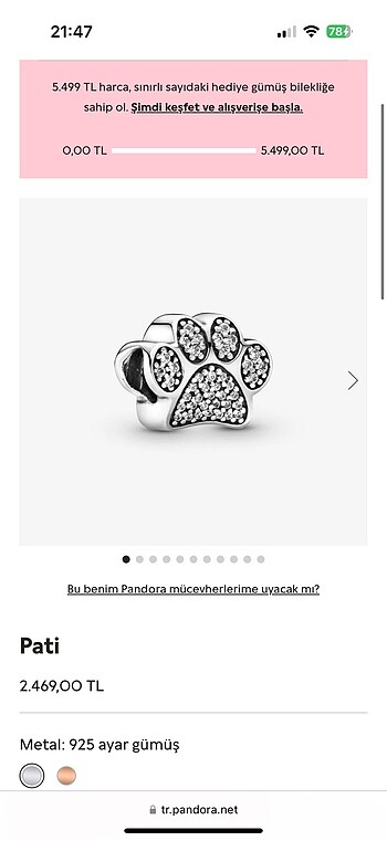 Pandora Pati Charm