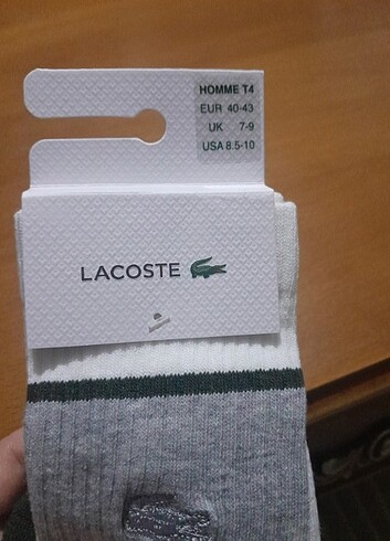 40 Beden Lacoste orjinal 