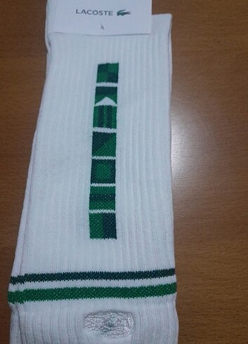 40 Beden Lacoste orjinal 