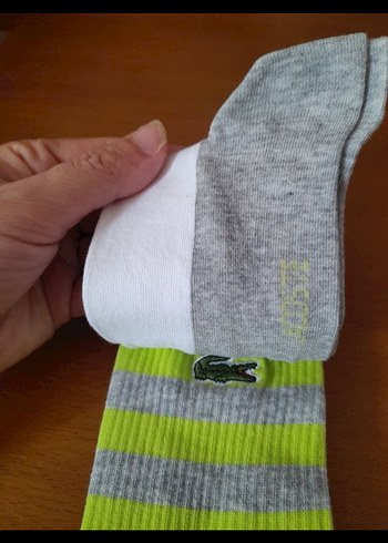 Lacoste Gri Mini Çorap - Görsel 5
