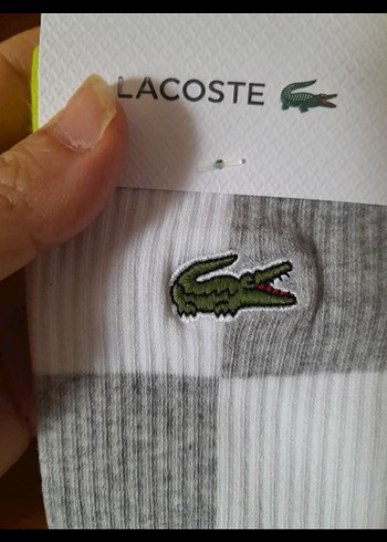Lacoste Lacoste Gri Mini Çorap