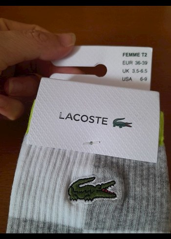 Beden Lacoste Gri Mini Çorap