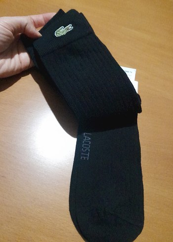 Lacoste Erkek Siyah Baskılı Midi Çorap 2 li - Görsel 6