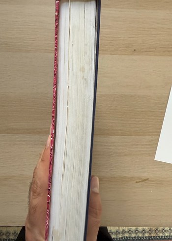 Geviş Getiren Hayvanların İç Hastalıkları Kitabı - Görsel 4