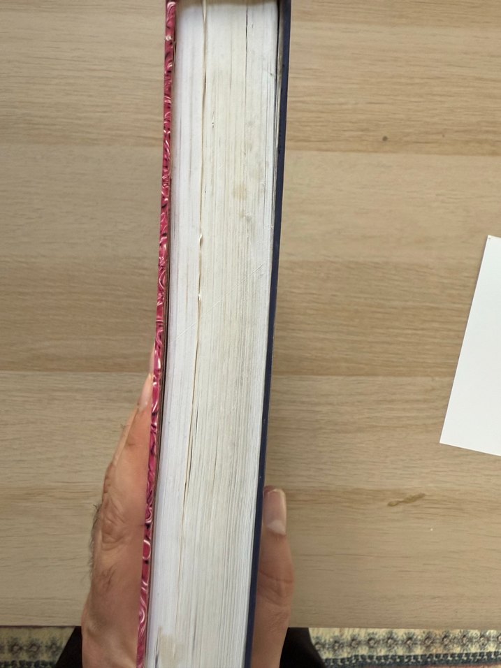 Geviş Getiren Hayvanların İç Hastalıkları Kitabı - Görsel 4