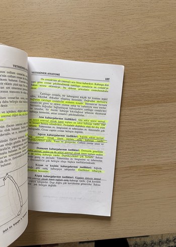 Veteriner Anatomi I - Prof. Dr. Nejdet Dursun - Görsel 5