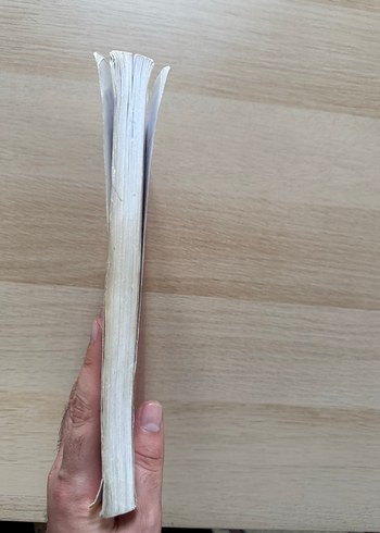 Veteriner Anatomi I - Prof. Dr. Nejdet Dursun - Görsel 3