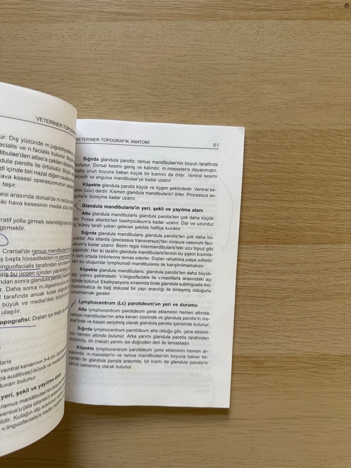 Veteriner Topografik Anatomi Kitabı - Görsel 5