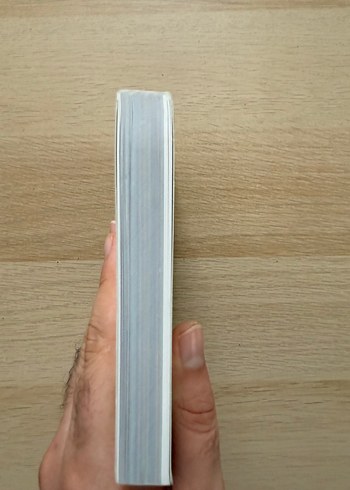 Zeka Oyunları 1 - Emrehan Halıcı - Görsel 4