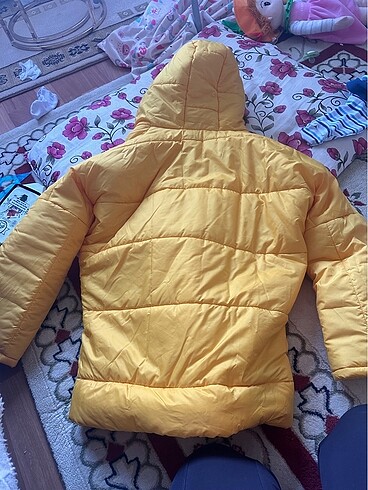 m Beden sarı Renk Kadın mont