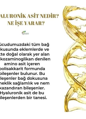 Kolejen