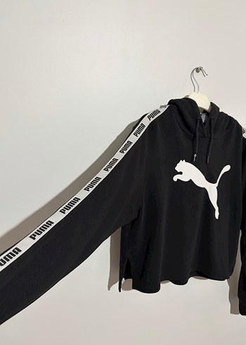 Puma m