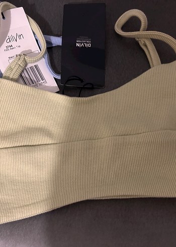 DİLVİN BÜSTİYER - Görsel 2