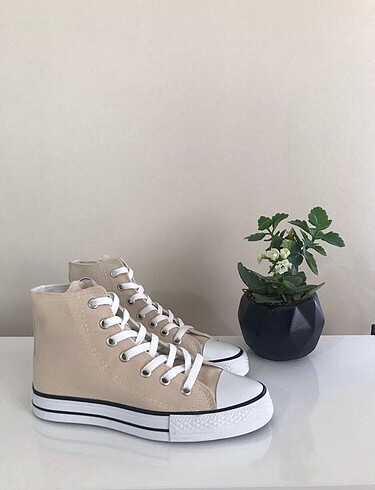 bej 37 converse