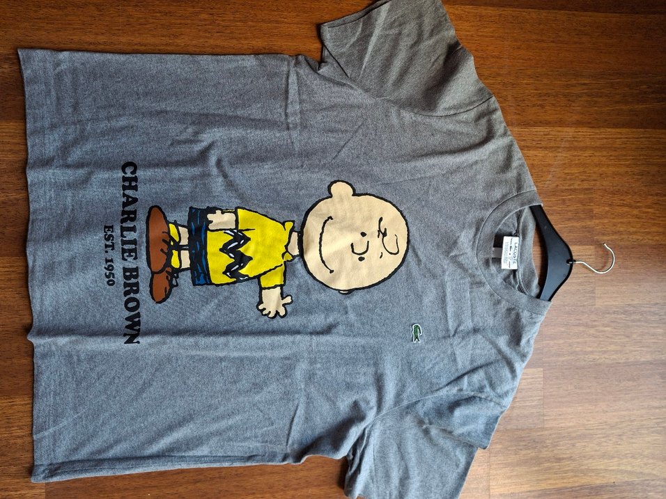 Erkek Gri Lacoste Tişört - Görsel 4