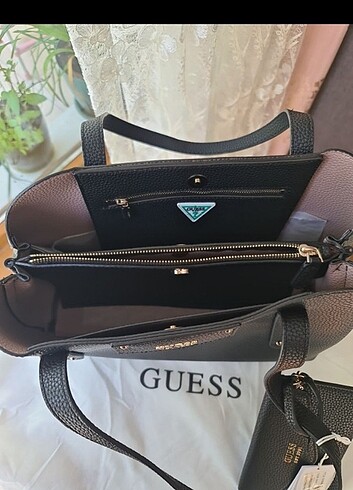 Guess Guess 