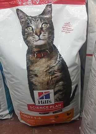 Hills tavuklu yetişkin maması 4 kg
