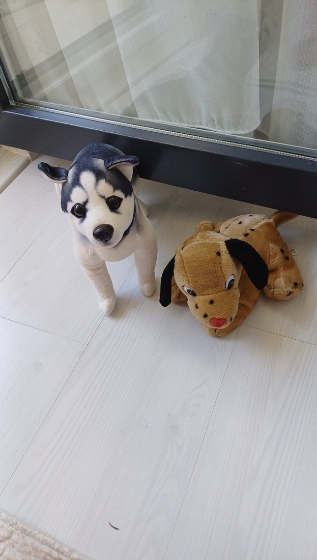 Gri Beyaz Peluş Köpek Oyuncak - Görsel 2