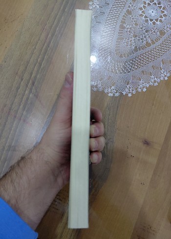 Jules Payot - İrade Terbiyesi - Görsel 2