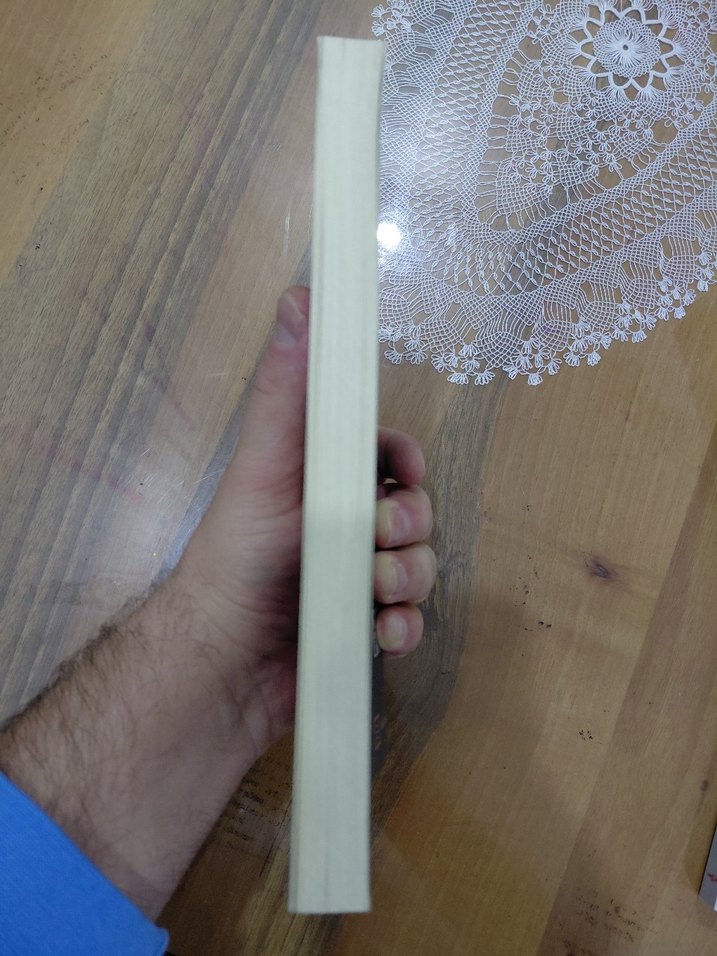 Jules Payot - İrade Terbiyesi - Görsel 2