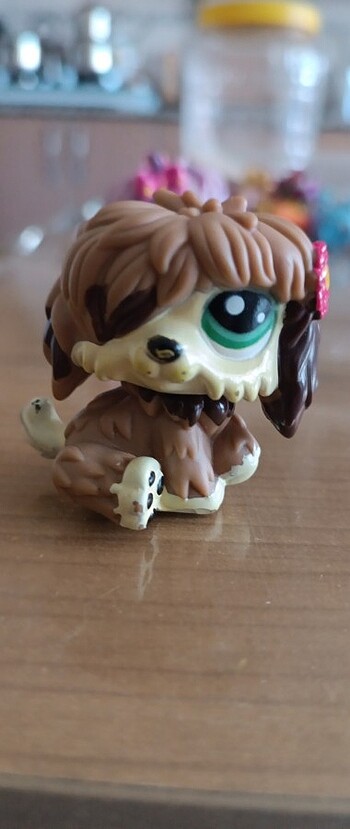 Beden Lps minis