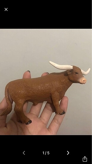 Texas Longhom Bull Boğa Ve İnek Figürü
