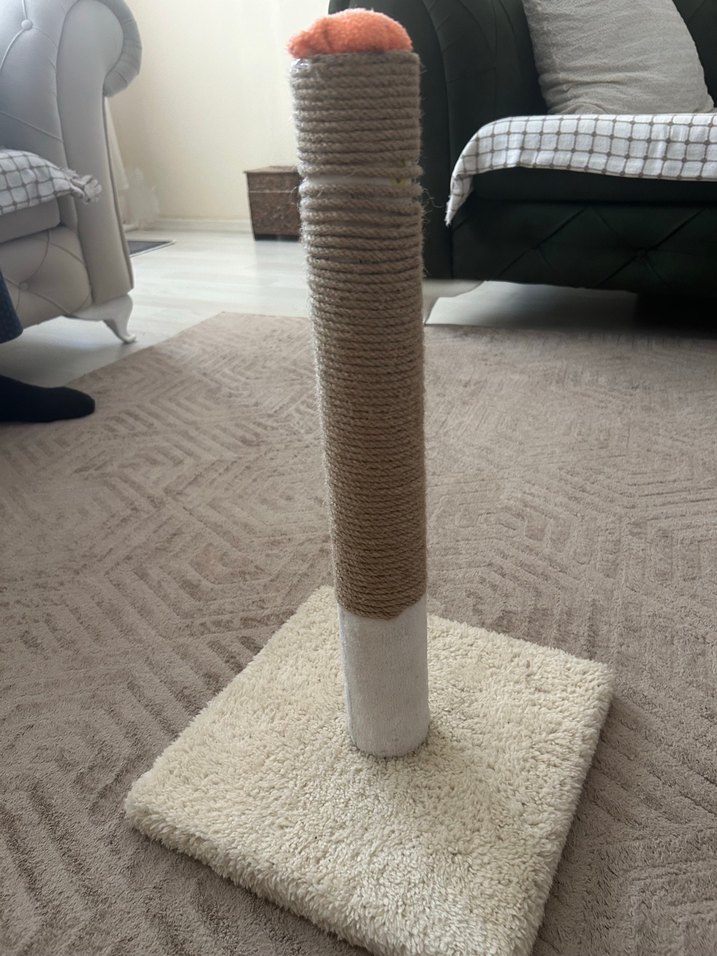 Gri Kedi Tırmalama Direği - Görsel 2