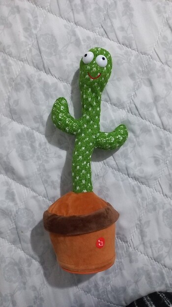 Kaktus