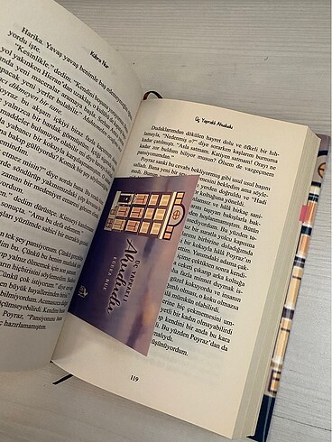  üç yapraklı ahududu ren yayınları