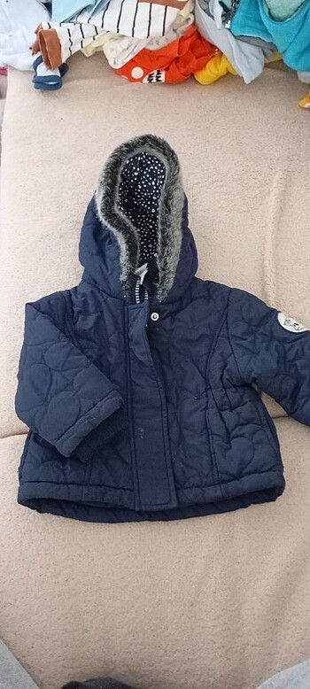 Bebek montu 
