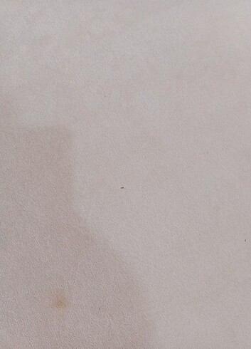 Diğer Oval yolluk