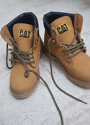Cat not