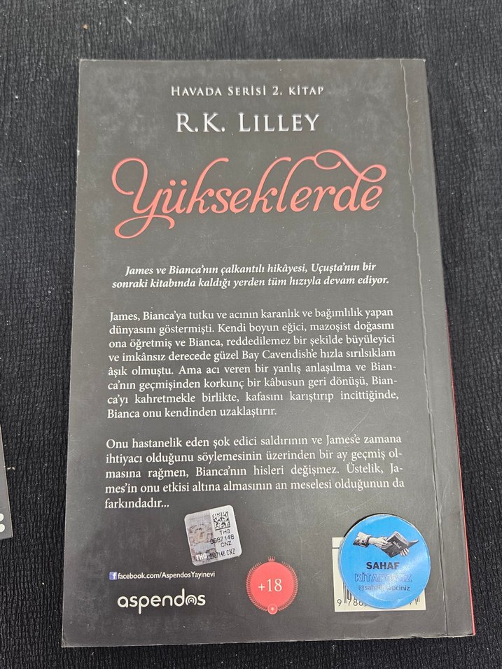 Yükseklerde - R.K. Lilley / 25-82 - Görsel 2