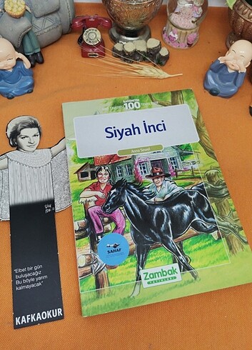 Ikinciel kitap 