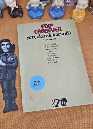 Ikinciel kitap 