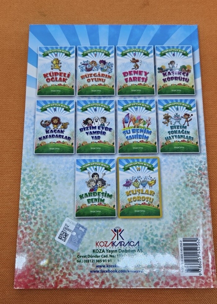 Ikinciel kitap  - Görsel 2