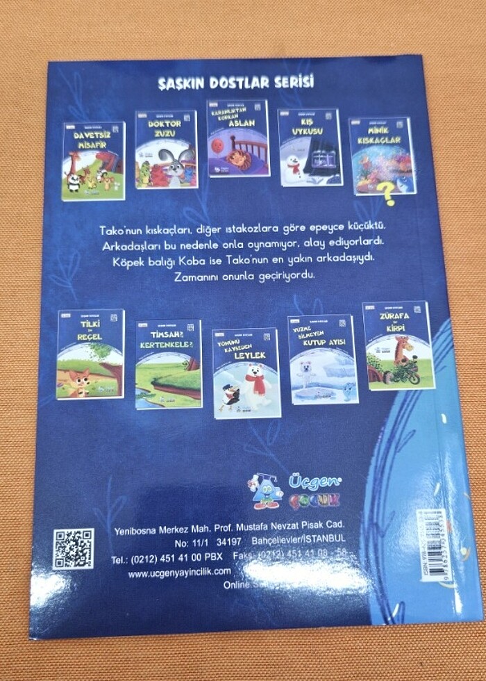 Ikinciel kitap  - Görsel 2