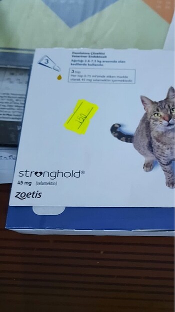 Stronghold kedi damlası