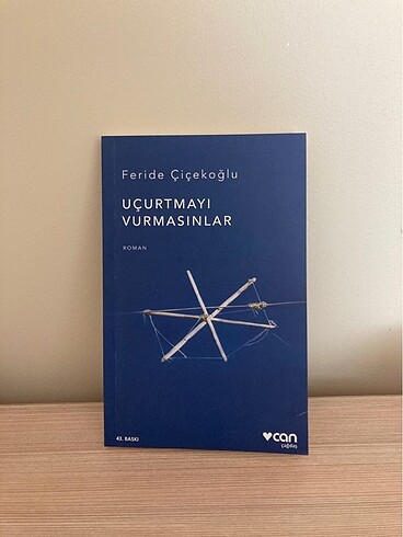 Uçurtmayı vurmasınlar