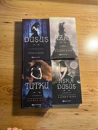 Düşüş Serisi (Düşüş - azap - tutku - aşka düşüş)