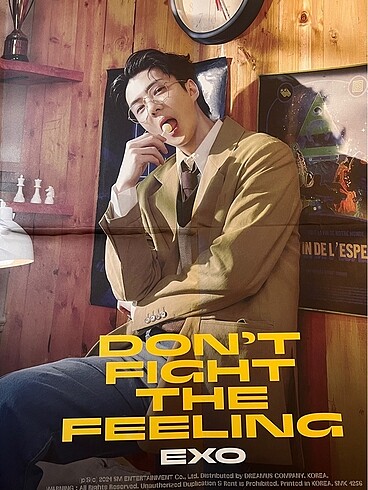 Orijinal EXO Sehun Don't Fight The Feeling Poster