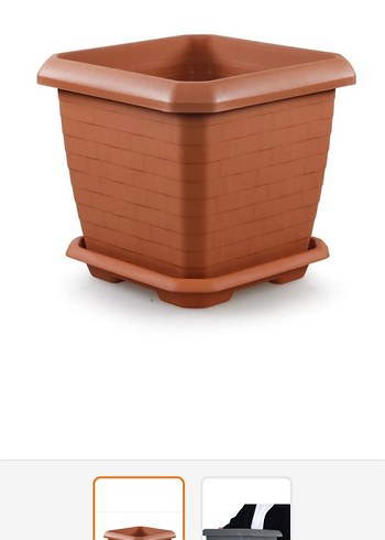 Diger Kahverengi Saksı