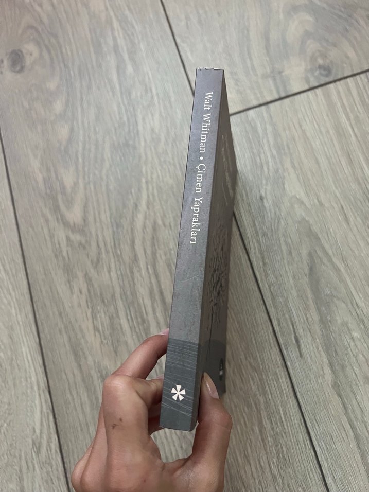 Çimen Yaprakları - Walt Whitman - Görsel 2