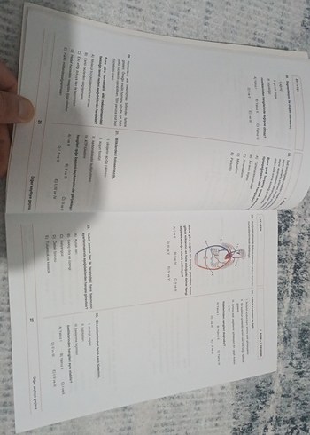  3 Adım AYT Sayısal 15 Deneme Sınavı MEB denemeleri