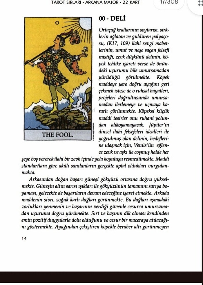 Tarot sırları  metin kiraz ve rezzan kiraz - Görsel 4