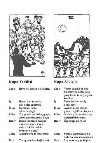 HAJO BANZHAF TAROT EL KİTABI - Görsel 4