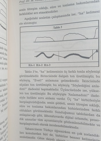 Türkçenin Çağdaş Sorunları Kitap #türkçe #tarih #edebiyat #kitap - Görsel 6