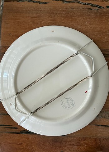 Vintage Salem Chast-O-Gold Porselen - Görsel 8