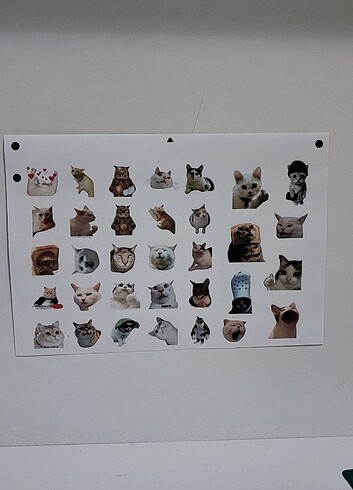 Kedi Sticker 